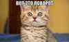 udivlenie_34433354_big_.jpeg