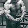 draizer